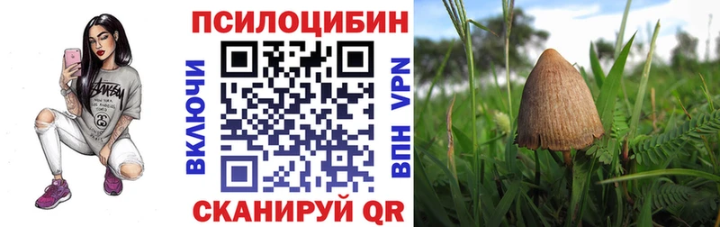 дарнет шоп  Лодейное Поле  Галлюциногенные грибы мицелий 